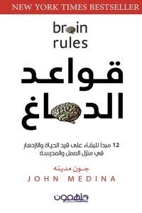 قواعد الدماغ