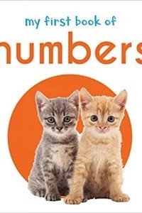 My First Book Of Numbers: First Board Book