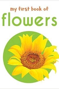 My First Book Of Flowers: First Board Book