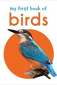 My First Book Of Birds: First Board Book