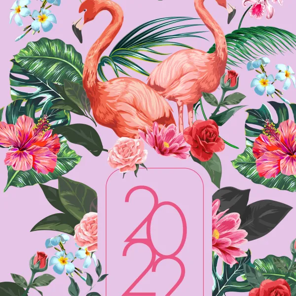 Agenda 2022 - Flamingo p7