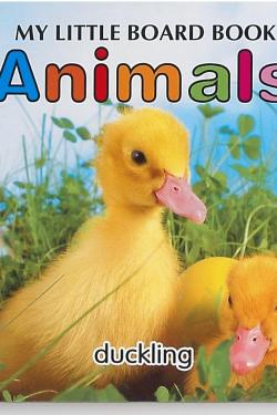 الكتاب اللوحي الصغير-الحيوانات- إنجليزية