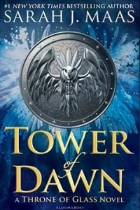 14+ Tower Of Dawn Quotes