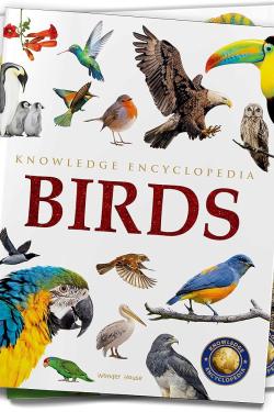Animals: Birds (Knowledge Encyclopedia For Children)