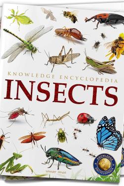 Animals: Insects (Knowledge Encyclopedia For Children)