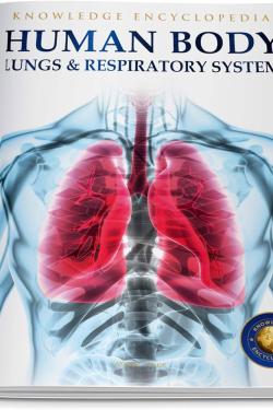 Human Body - Lungs And Respiratory System: Knowledge Encyclopedia For Children