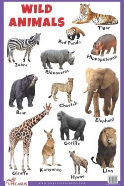 Wild Animals Educational Chart