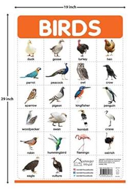 Birds - My First Early Learning Wall Posters: For Preschool, Kindergarten, Nursery An