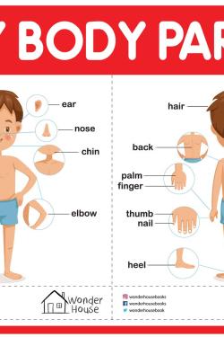 My Body Parts - My First Early Learning Wall Chart: For Preschool, Kindergarten, Nursery And Homeschooling
