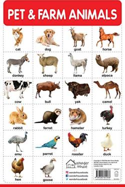 Pet And Farm Animals - My First Early Learning Wall Chart: For Preschool, Kindergarten, Nursery And Homeschooling