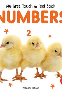 My First Book Of Touch And Feel - Numbers : Touch And Feel Board Book For CHildren