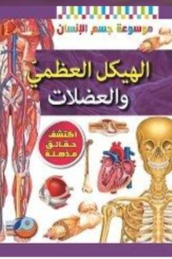 الهيكل العظمي والعضلات