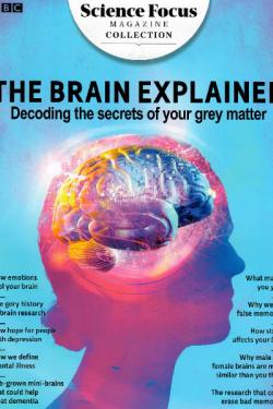 The Brain Explained Decoding the secret of your grey matter